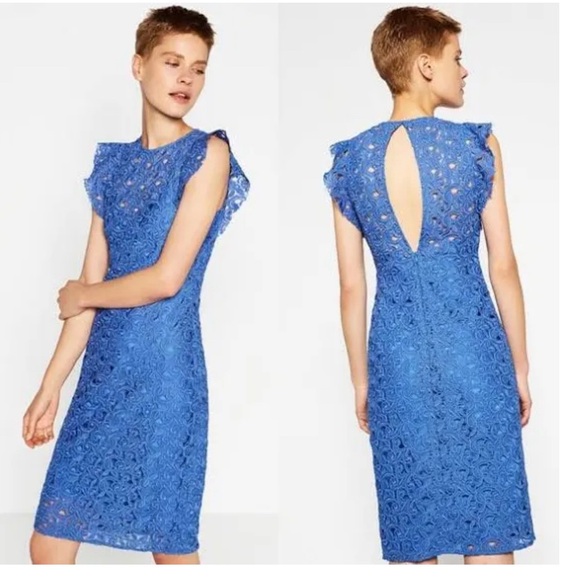 Zara Royal Blue Guipure Lace Embroidery Chic Midi Dress Size Small - Picture 11 of 16